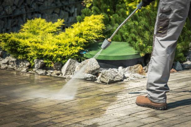 Best Pre-Holiday Cleaning  in Cottonwood, AZ